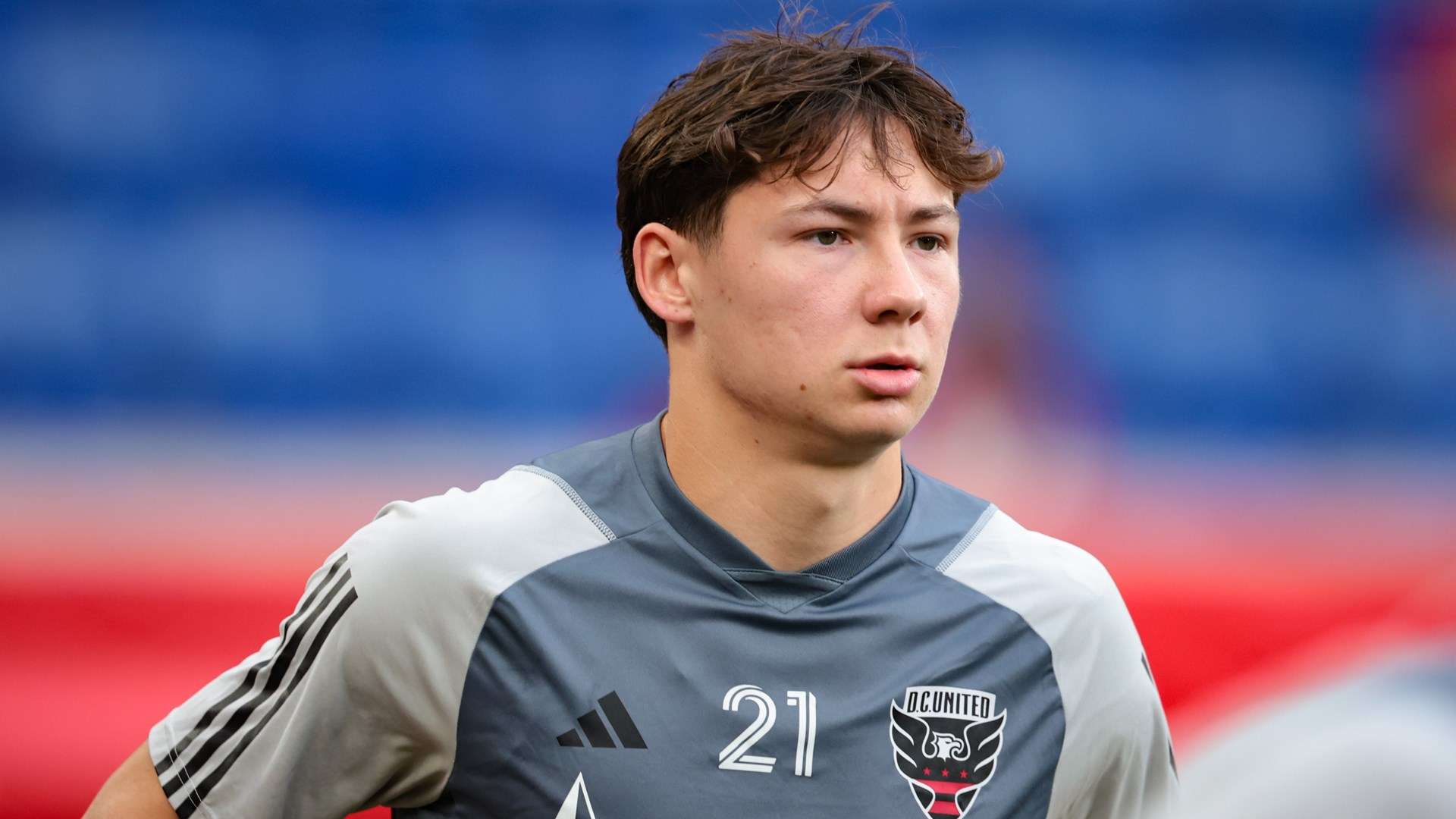 这个年仅 这个年仅