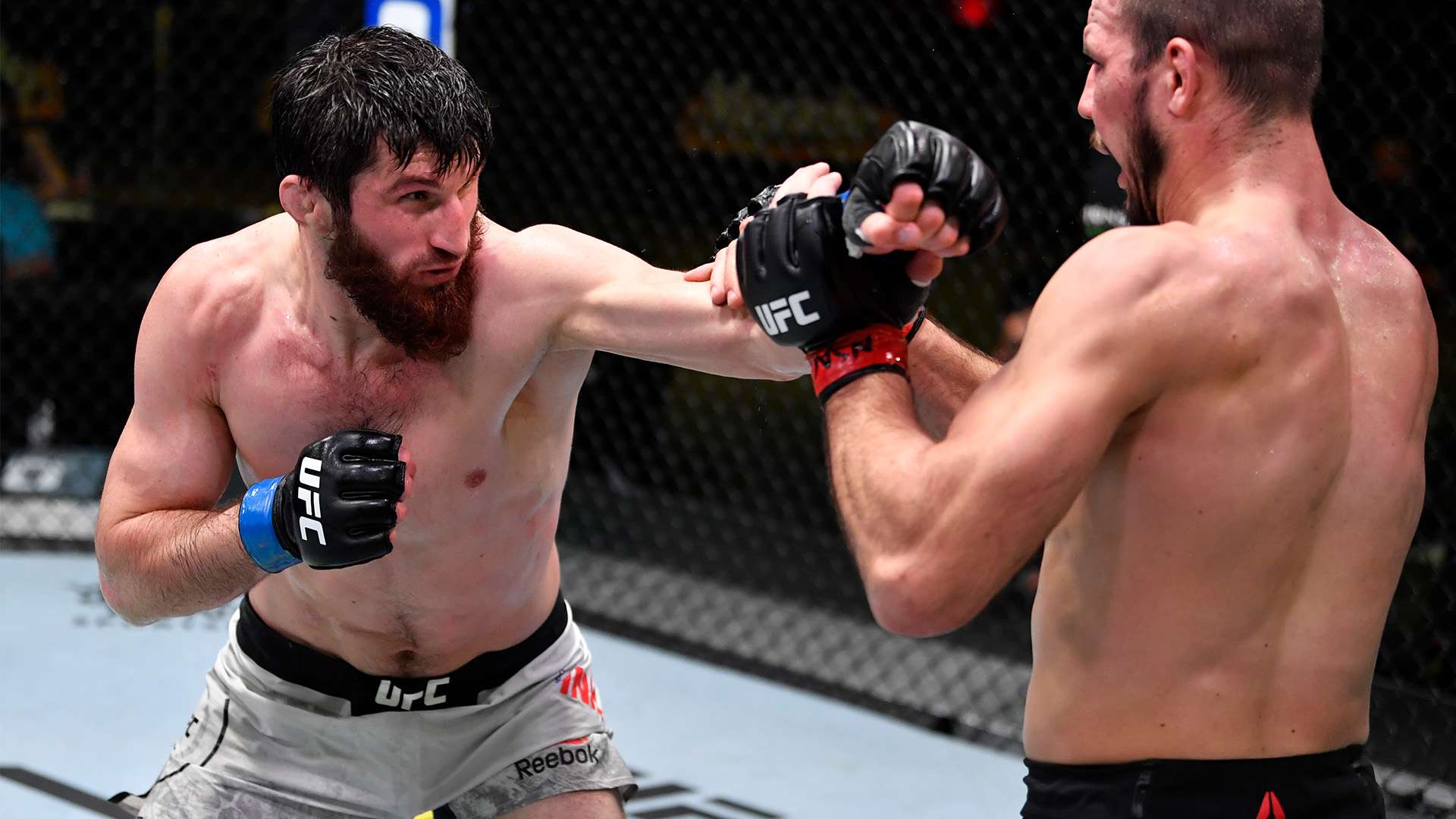 王的伟业 王的伟业